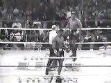 Mike Tyson vs Trevor Berbick KO (Funny)