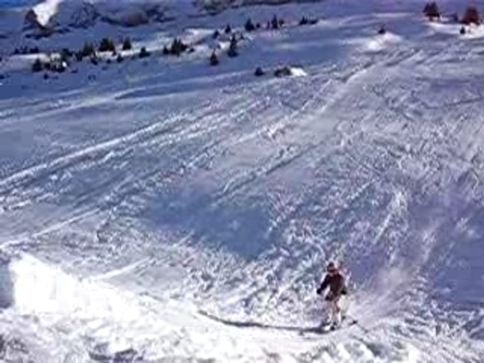 backflip1