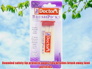 The Doctor's BrushPicks Toothpicks 120 picks (Pack of 12)