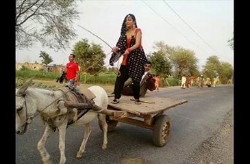 natural riding of donkey