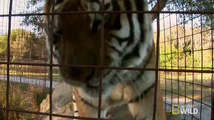 Size Doesn't Always Matter