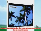celexon Professional electric - Projektionswand (motorisiert 230 V) - 288 cm ( 113 Zoll ) 1090097