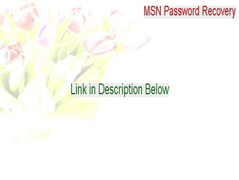 MSN Password Recovery Cracked [Download Here]