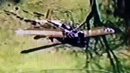 BREAKING Harrison Ford Crash Lands Airplane