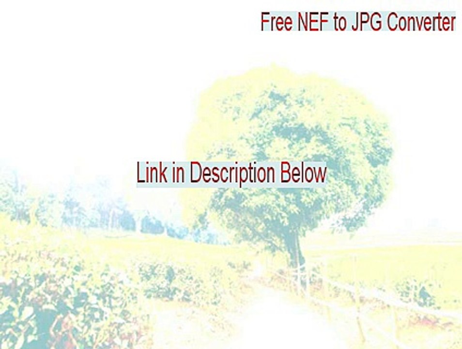 Free NEF to JPG Converter Key Gen - Instant Download [2015]