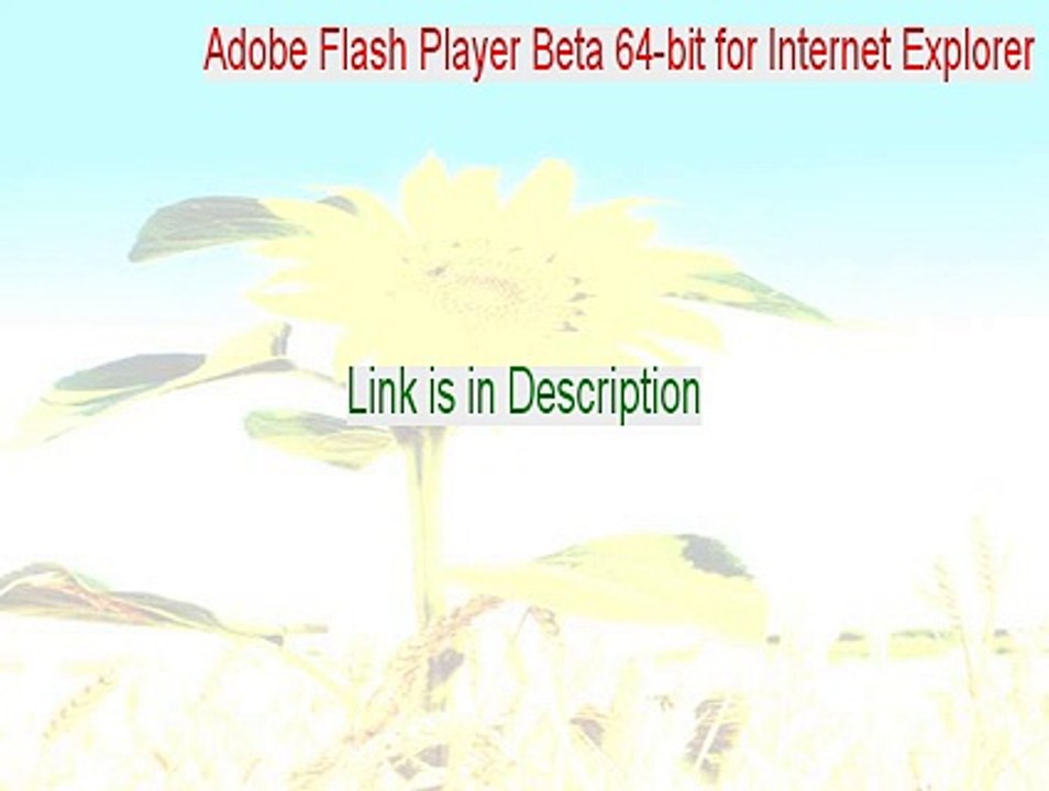 Adobe Flash Player Beta 64-bit for Internet Explorer Serial [Download Now]