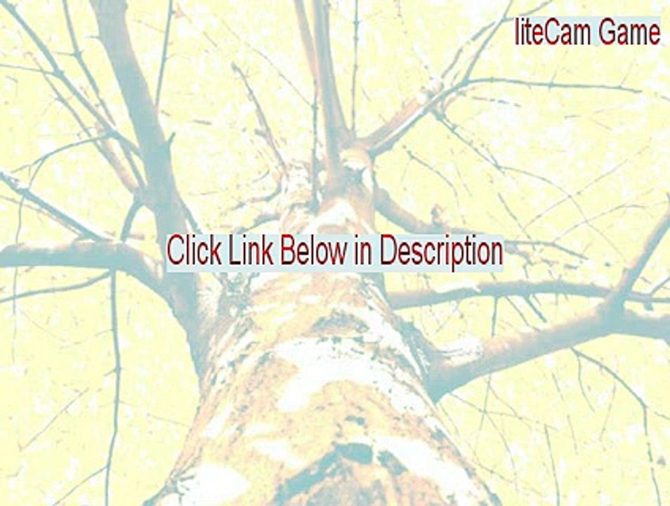 liteCam Game Serial (Download Now 2015)