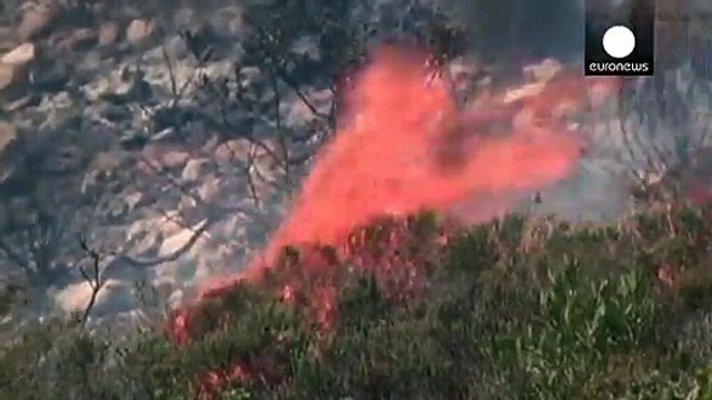 آتش سوزی جنگل های کیپ تاون مهار شد