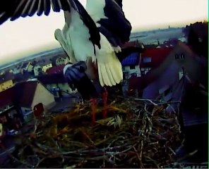 06.03.15 Le printemps est arrivé / Der Frühling ist da