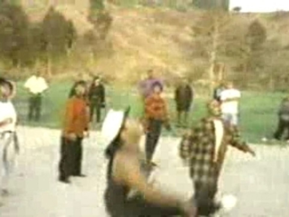 Ain't Nothin But A G Thang