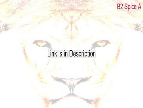 B2 Spice A/D Lite Serial (Legit Download)