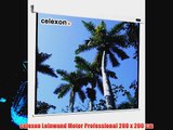 celexon Leinwand Motor Professional 200 x 200 cm