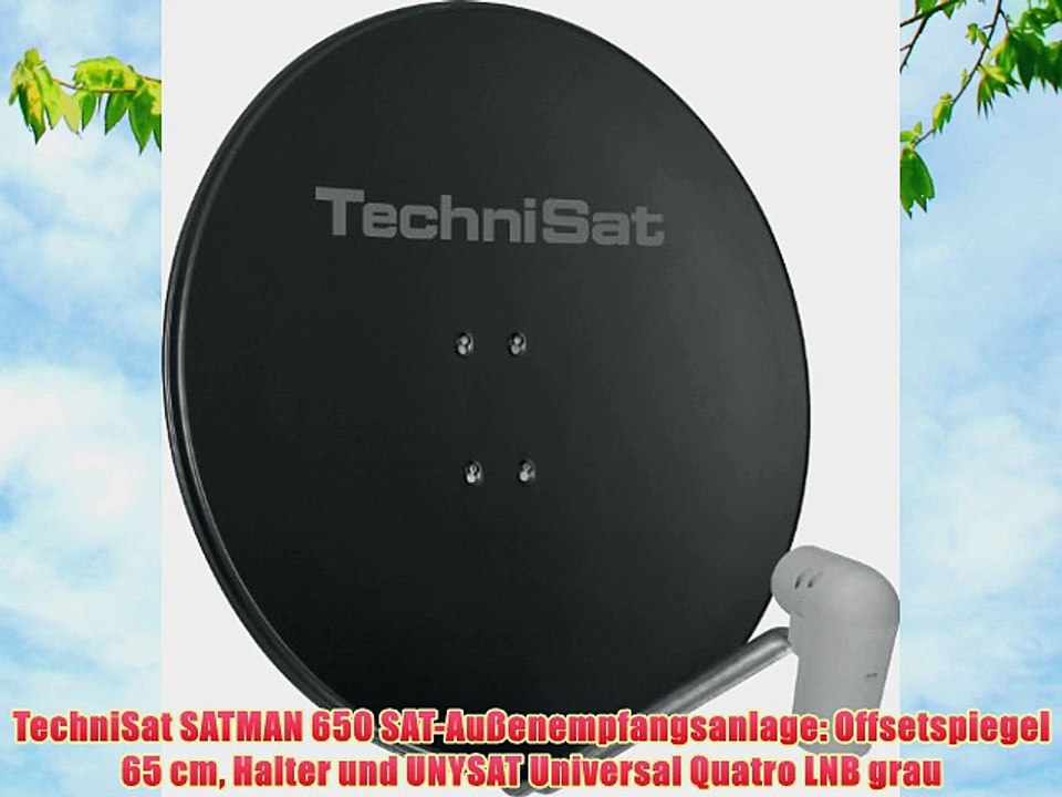 TechniSat SATMAN 650 SAT-Au?enempfangsanlage: Offsetspiegel 65 cm Halter und UNYSAT Universal