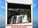 celexon Home Cinema electric screen - Leinwand (mit Motor) - 253 cm ( 100 Zoll ) 1090120