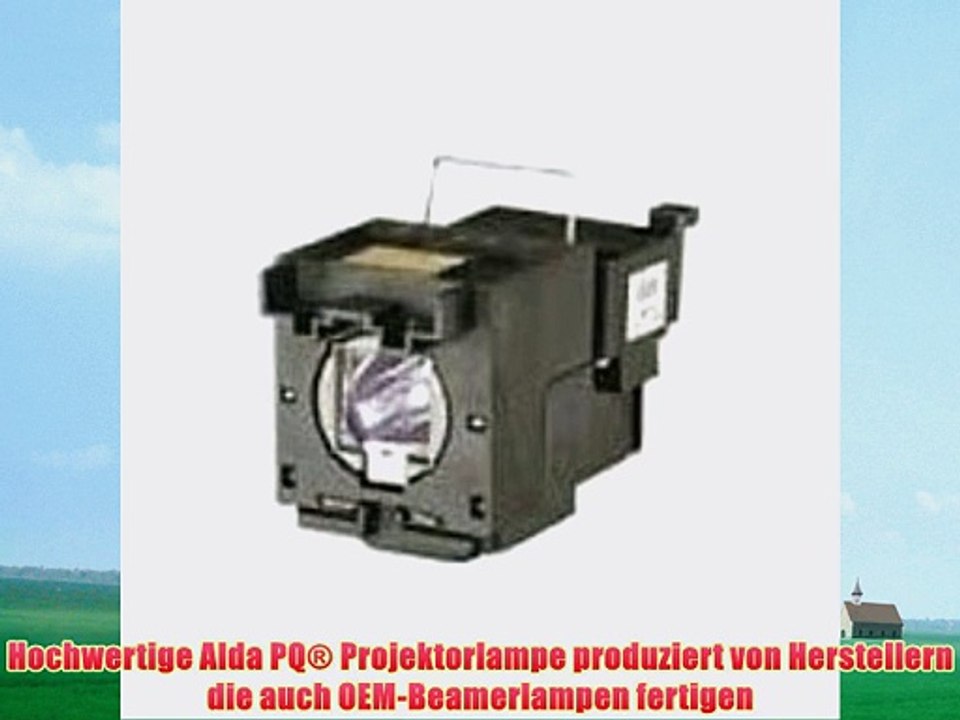 Alda PQ Beamerlampe TLPLV4 f?r TOSHIBA TDP-S20 Projektoren Lampenmodul mit Geh?use