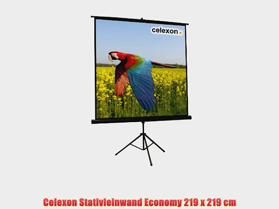 Celexon stativleinwand economy 219 x 219 cm