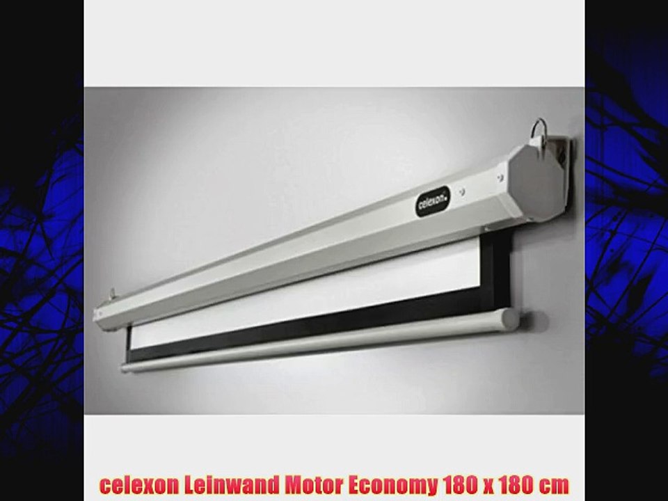 celexon Leinwand Motor Economy 180 x 180 cm