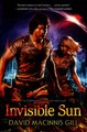 Download Invisible Sun ebook {PDF} {EPUB}