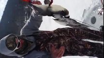 Ice fisherman catching an animal that's not a fish at all
