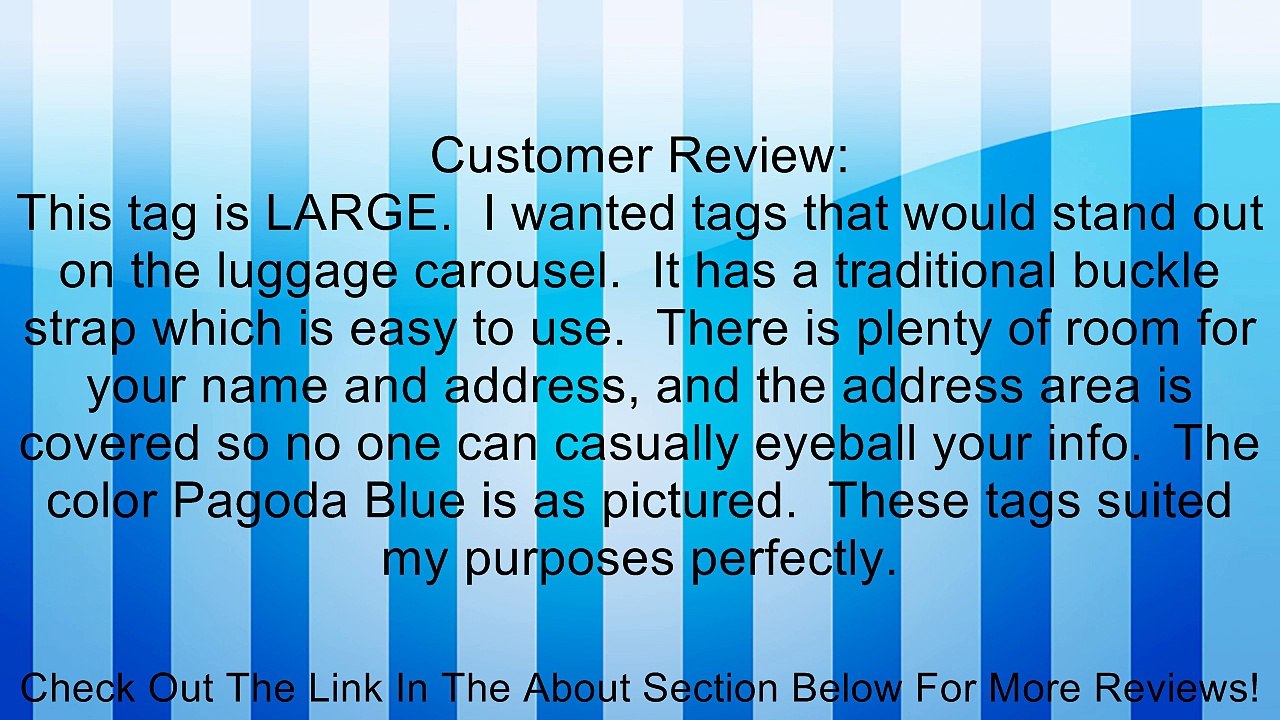 Samsonite Large Vinyl ID Tag Review