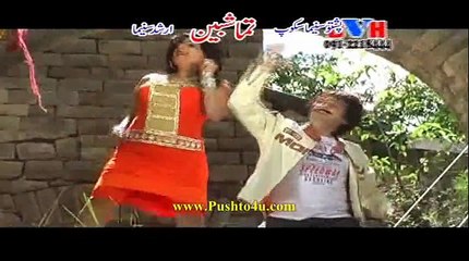 Pashto Films Tamashbeen Hits Part 2