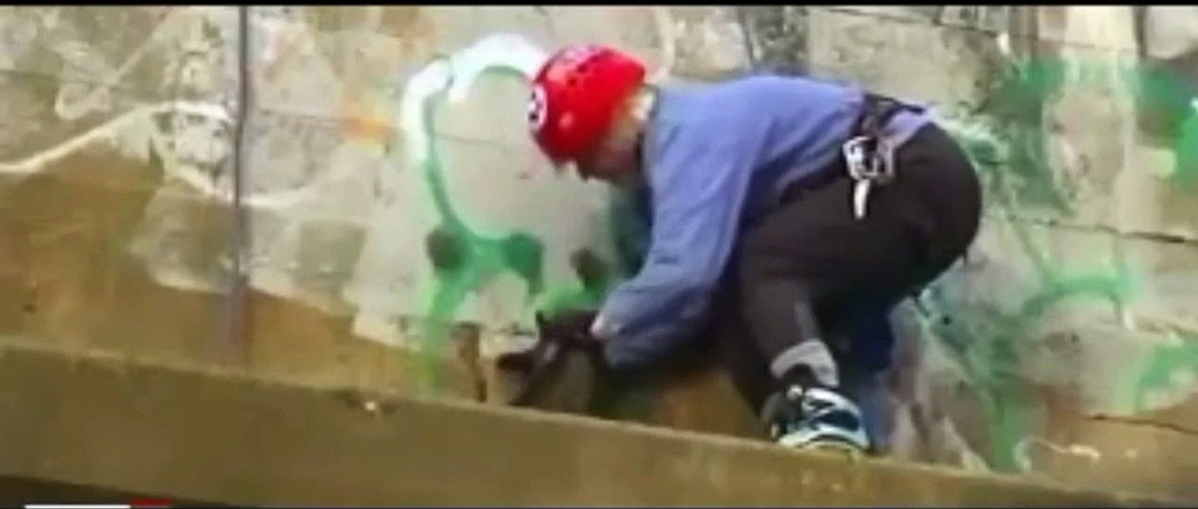 HOW TO RESCUE ANIMALS