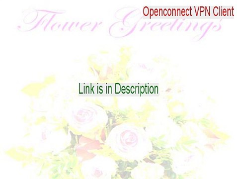 Openconnect VPN Client Key Gen (openconnect vpn client windows)
