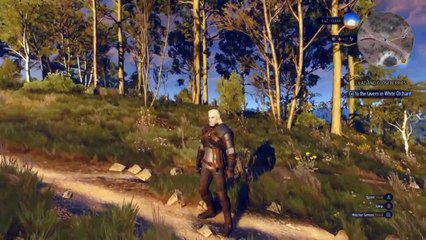 The Witcher 3 Gameplay - Combat, Spells, Open World, Sunrise