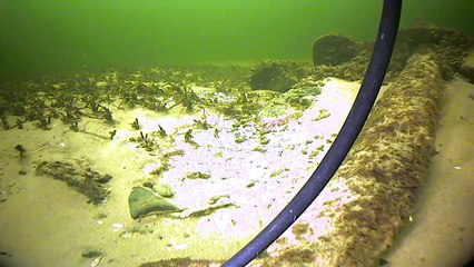 Потерянный якорь  / Lost anchor / ROV Moby Dick