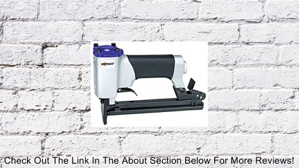 Spot Nails 4811PN Nylon Coated Staples for WS4840W2 Hardwood Flooring Stapler, 5000/Box Review