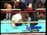 EVANDER HOLYFIELD BOXING FIGHT VIDEO