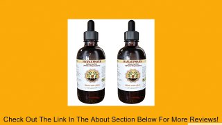 Nopal Cactus Liquid Extract, Nopal Cactus (Optunia Streptacantha) Powder Tincture Herbal Supplement Review