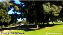 Rare Mobile phone of Hollywood Hero Harrison Ford's plane crash-landing in a golf course - Santa Monica, California