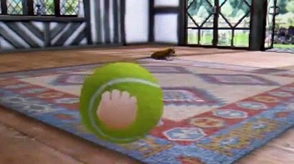 fuuny cats videos HD