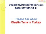 bluefin_tuna,yellowfin tuna,bluefin tuna nedir,bluefin tuna Greenpeace,tuna fish,bluefin tuna price,bluefin tuna record,bluefin tuna endangered,pacific bluefin tuna