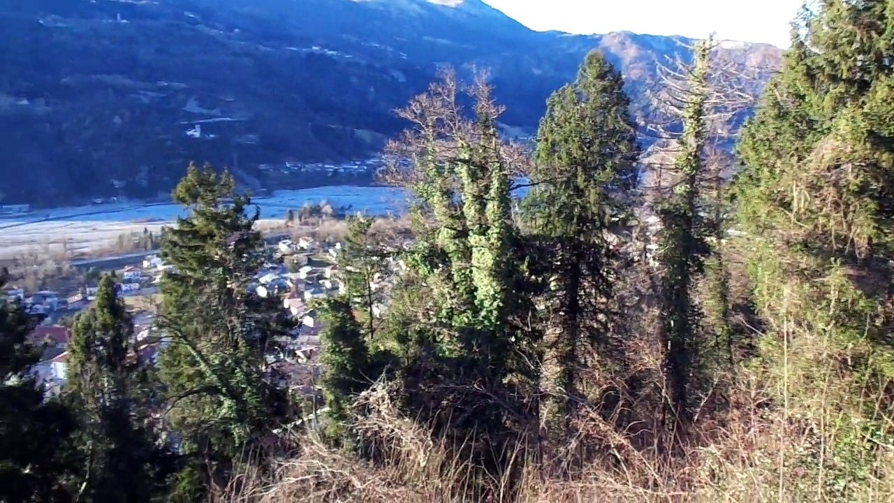 Tolmezzo (UD)  "Torre Piccota"