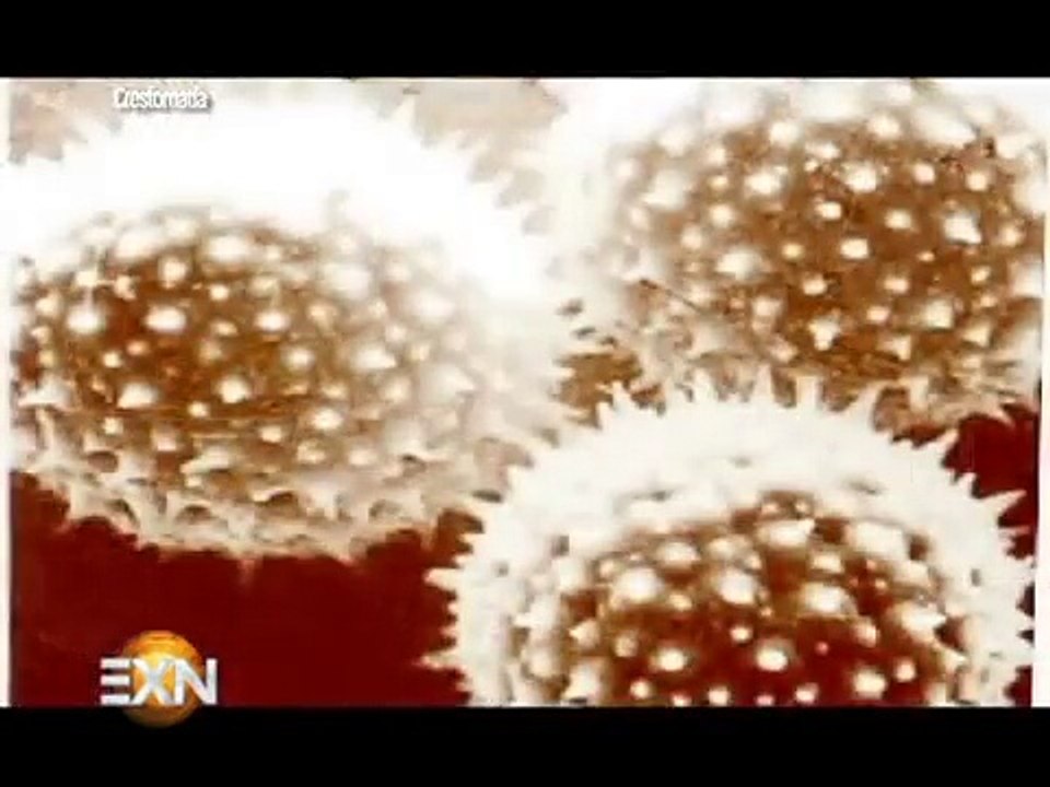 Extranormal-Los Misterios del Sudario de Turín