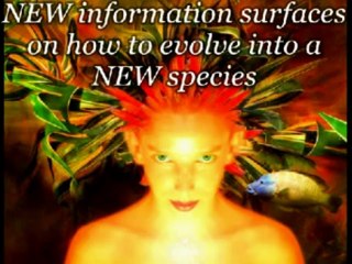 How Humans Evolved Into A New Species