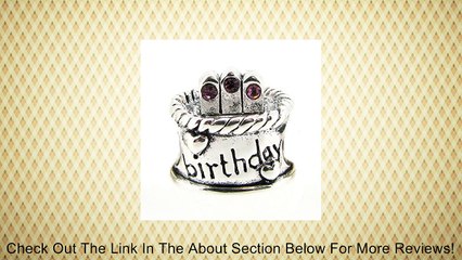 Sterling Silver Birthday Cake Amethyst CZ Crystal Feburary Birthstone Bead F/ European Charm Bracelets Review