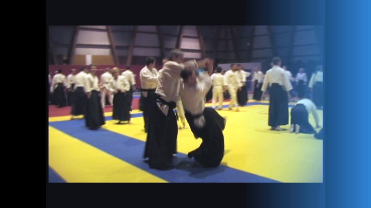Stage international d'Aïkido à Montpellier avec Alain Peyrache
