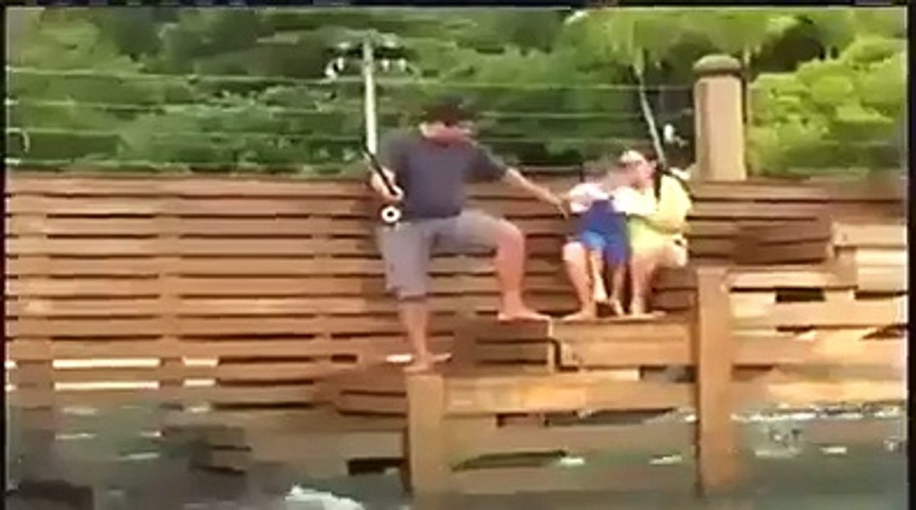 funny fish video