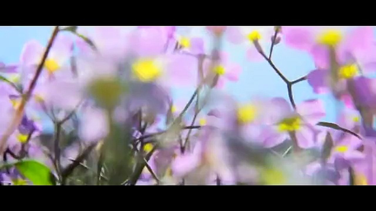 Γιάννης Πλούταρχος | Κατά τ'άλλα καλά | Greek- face (hellenicᴴᴰ video clips)