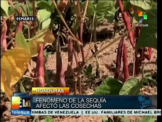 Campesinos hondureños sufren de hambre y represión del Estado