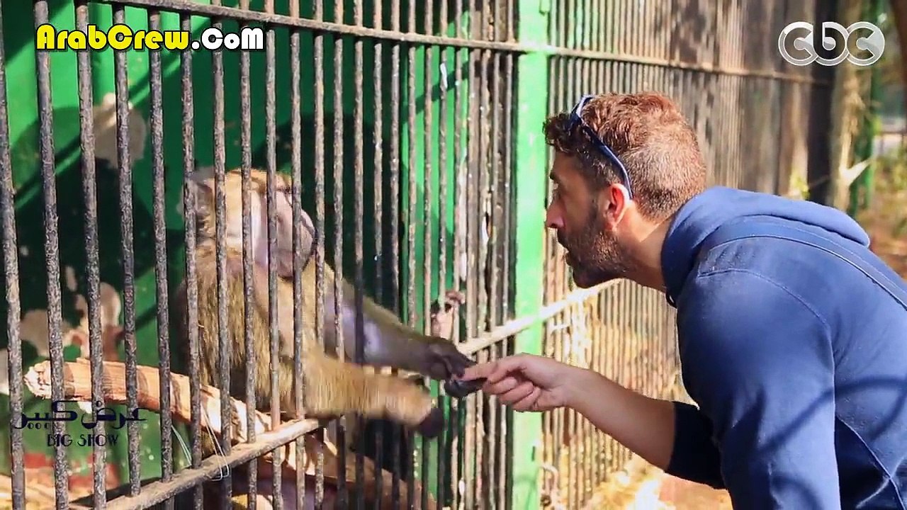 برنامج عرض كبير الحلقة  الثالثة مع محمود عبد المغنى HD 720p