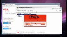 MOL - Money Online Bugs LEAKED - Updated 2015.03.04.