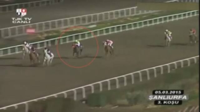 Jokey, Atını Acımasızca Kırbaçlayınca Atla Birlikte Yere Yığıldı