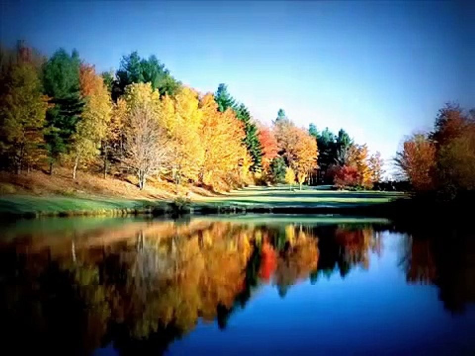 Hindi Songs 2015 Hits New HD Rahat Fateh Ali Khan Sad Song Sonyia Dil Indian Songs 2015 New HD - PlayIt.pk