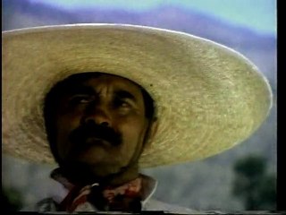Vicente Fernandez - Nuestro Gran Amor