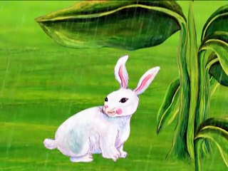 Letter  R  -  R  is for Rabbit