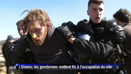 Sivens: les gendarmes mettent fin à l'occupation du site